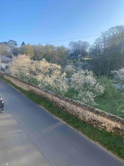Gite Des Moriers Blois Bord De Loire Extérieur photo
